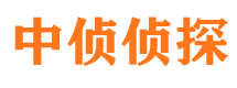 宝丰市调查公司